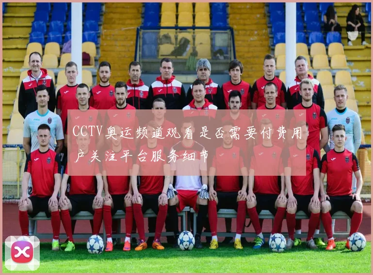 CCTV奥运频道观看是否需要付费用户关注平台服务细节